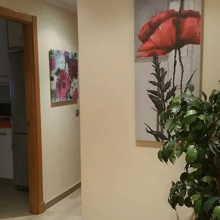 Victoria * 加的斯